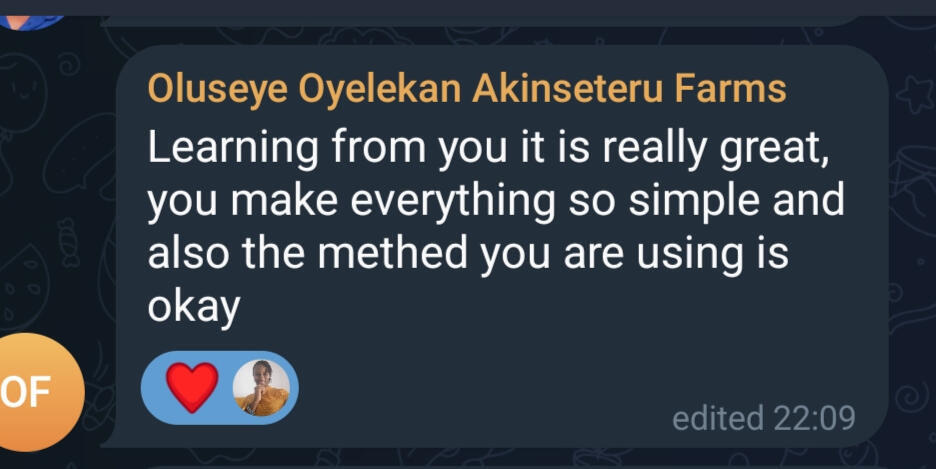 Testimonial from my community of lesrners